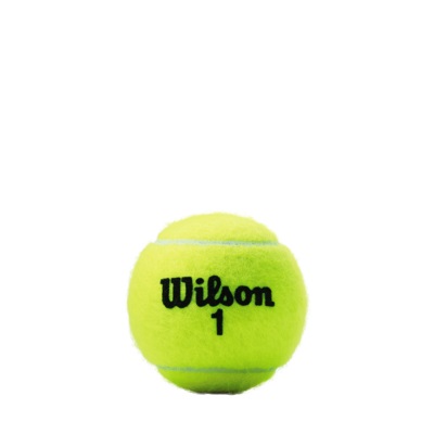 Championship Tennis Balls - 4 Ball Can